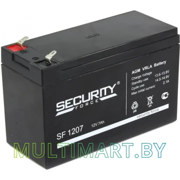 Аккумулятор для ИБП Security Force SF 1207 (12В/7 А·ч)